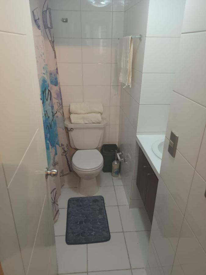 Appartamento Acogedor Y Renovado Departamento Santiago del Cile Esterno foto