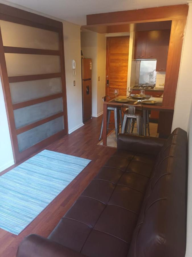 Appartamento Acogedor Y Renovado Departamento Santiago del Cile Esterno foto